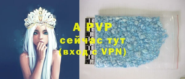 индика Белокуриха