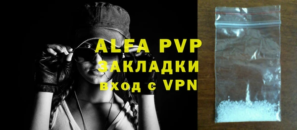 индика Белокуриха