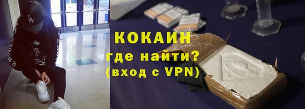 индика Белокуриха
