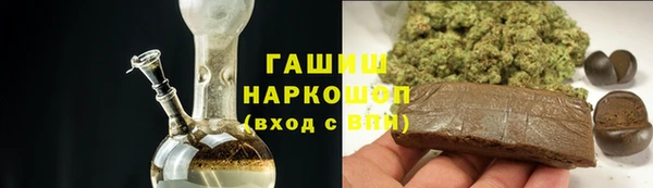 индика Белокуриха
