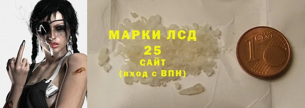 индика Белокуриха