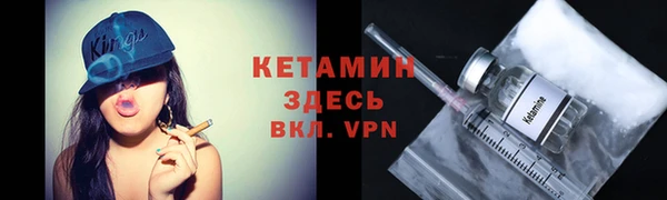 индика Белокуриха