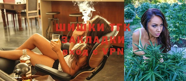 индика Белокуриха