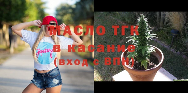 индика Белокуриха