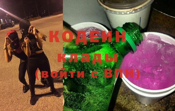 индика Белокуриха