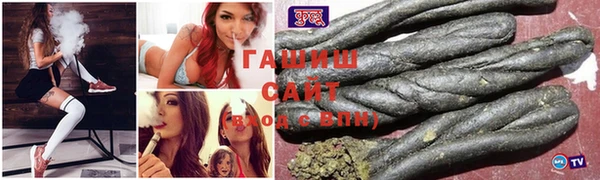 индика Белокуриха